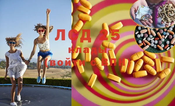 дмт Дмитриев