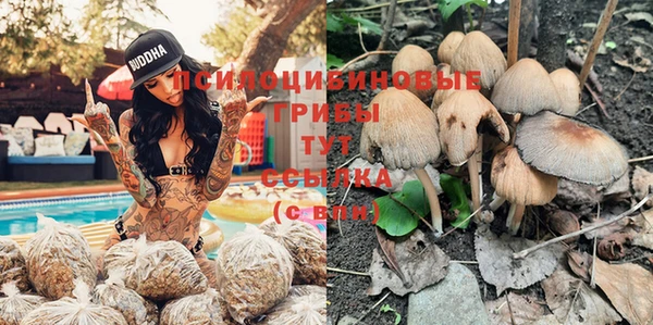 дмт Дмитриев