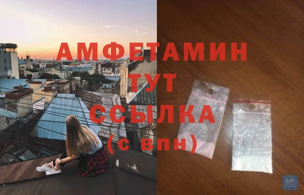дмт Дмитриев