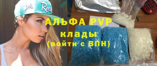 дмт Дмитриев